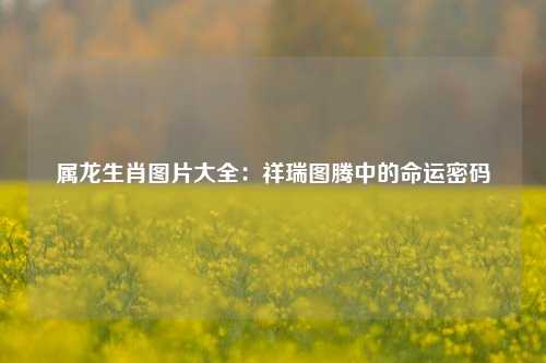 属龙生肖图片大全：祥瑞图腾中的命运密码