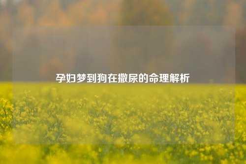 孕妇梦到狗在撒尿的命理解析