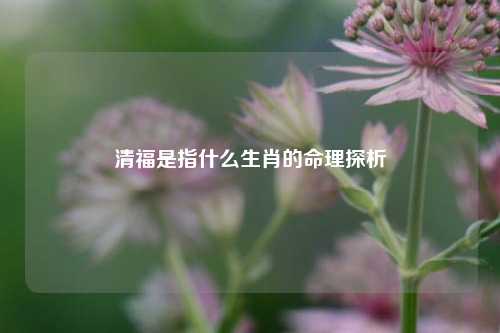 清福是指什么生肖的命理探析