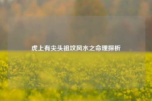 虎上有尖头祖坟风水之命理探析