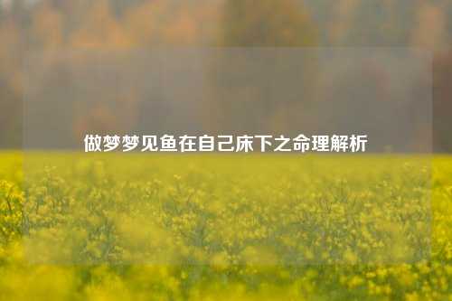 做梦梦见鱼在自己床下之命理解析