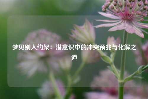梦见别人约架:潜意识中的冲突预兆与化解之道