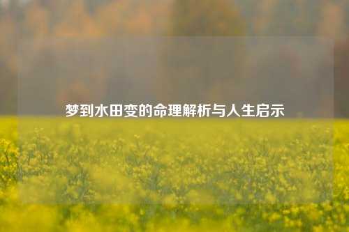 梦到水田变的命理解析与人生启示