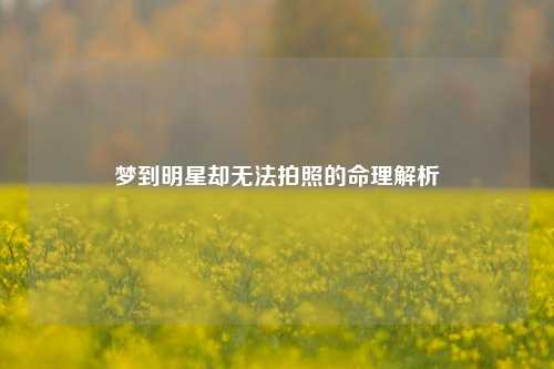梦到明星却无法拍照的命理解析