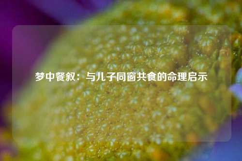 梦中餐叙:与儿子同窗共食的命理启示